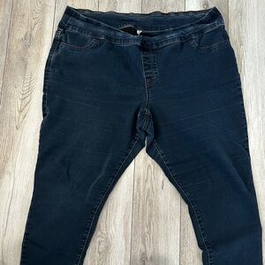 Style & Co Jegging Jeans Leggings 24W